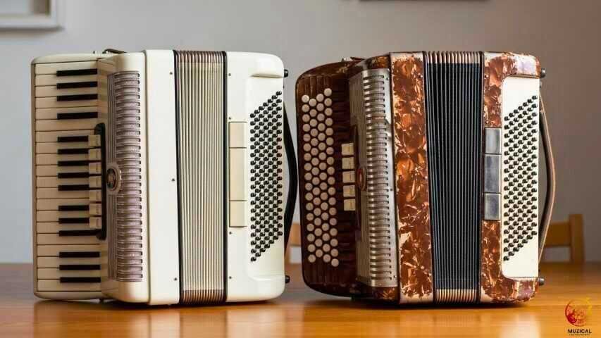 New And Used Accordion