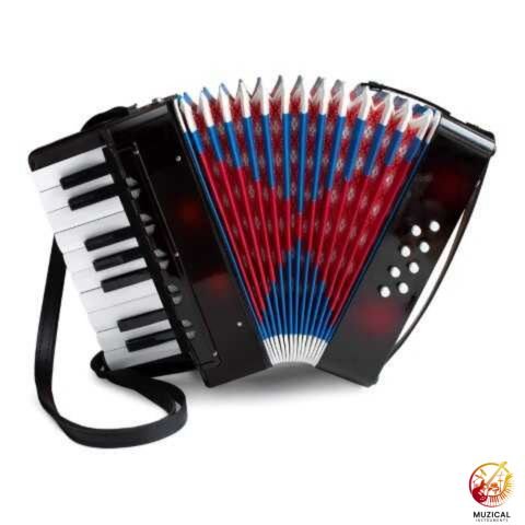 Piano Accordion