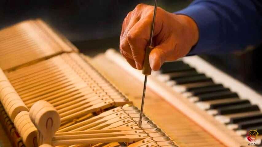 Piano Should Tune Twice a Year