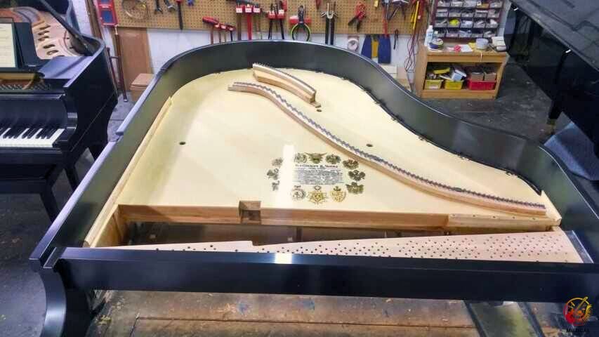 Piano Soundboard