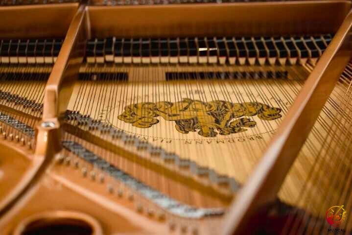 Piano Strings
