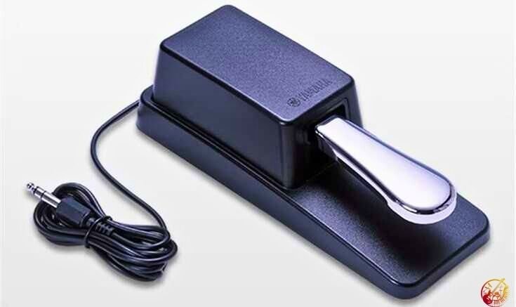 Keyboard Sustain Pedal