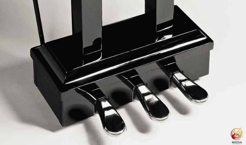 Piano Sustain Pedal