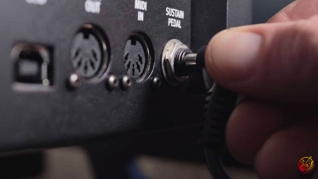 Sustain Pedal Connection